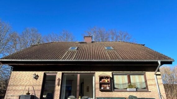 Hainichen Dachreinigung 