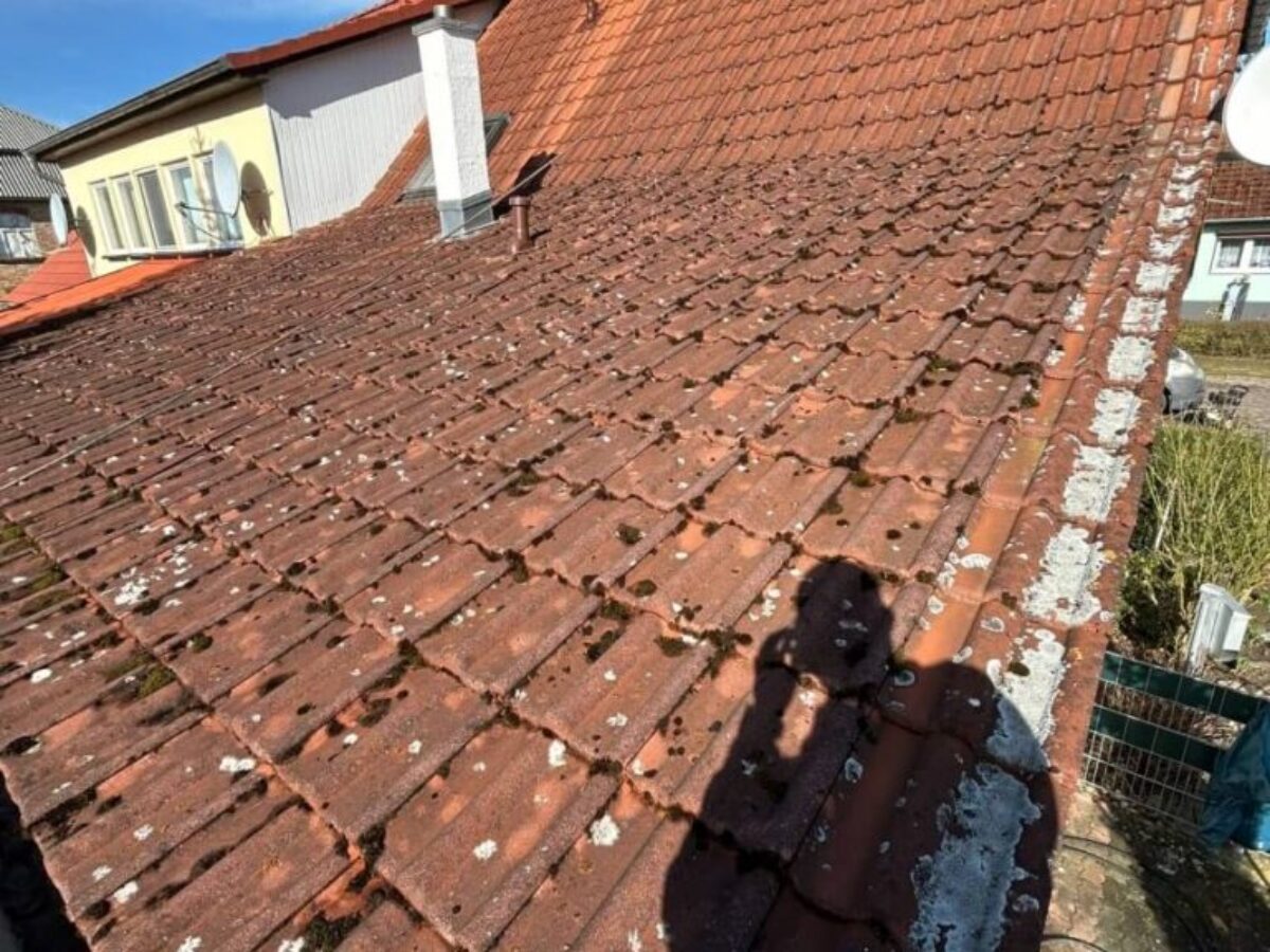 Vorher - Dachreinigung und -imprägnierung in Süderholz