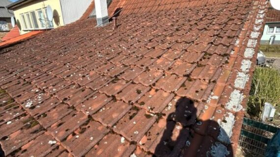 Dachreinigung Süderholz
