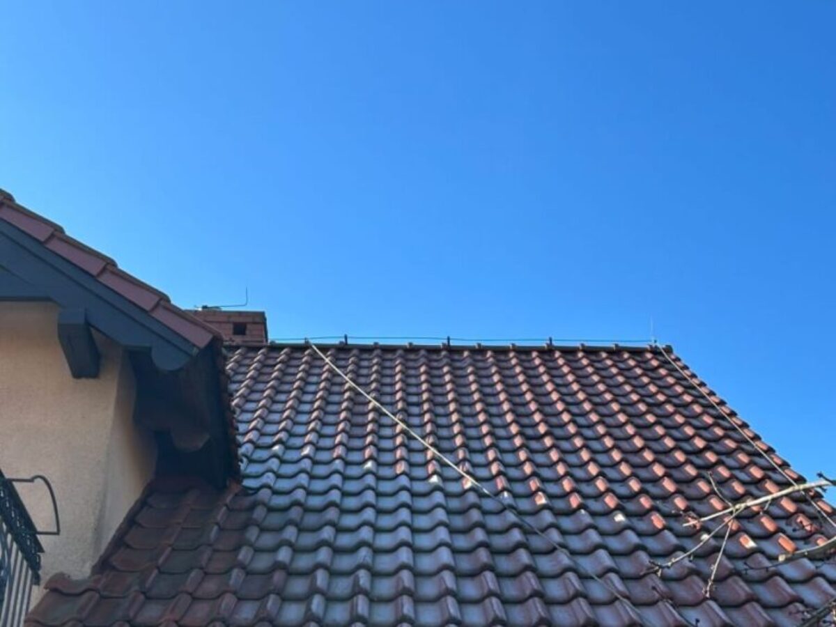 Vorher - Dachreinigung – Krosno Odrzańskie