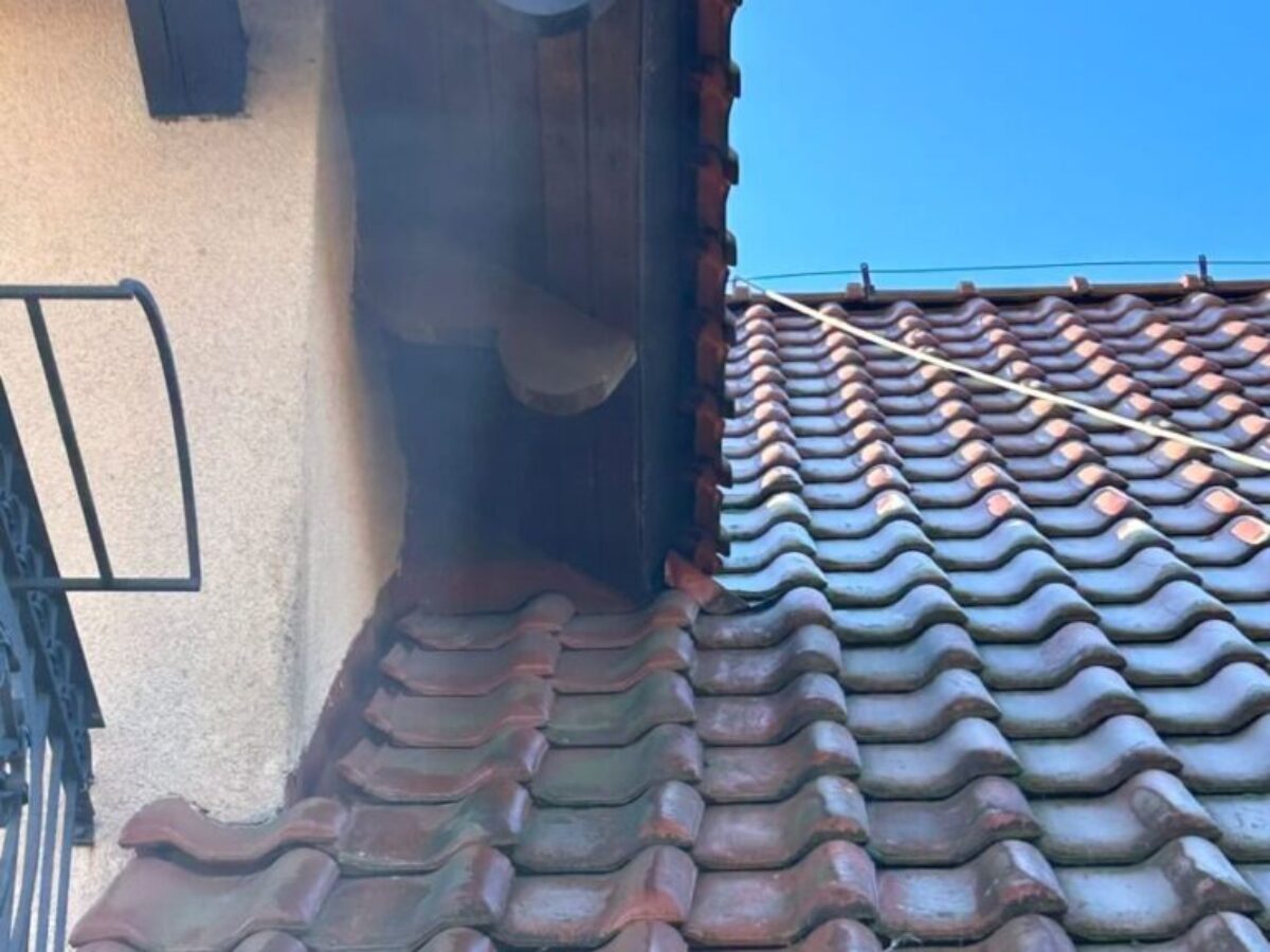 Vorher - Dachreinigung – Krosno Odrzańskie Vorher - Dachreinigung – Krosno Odrzańskie