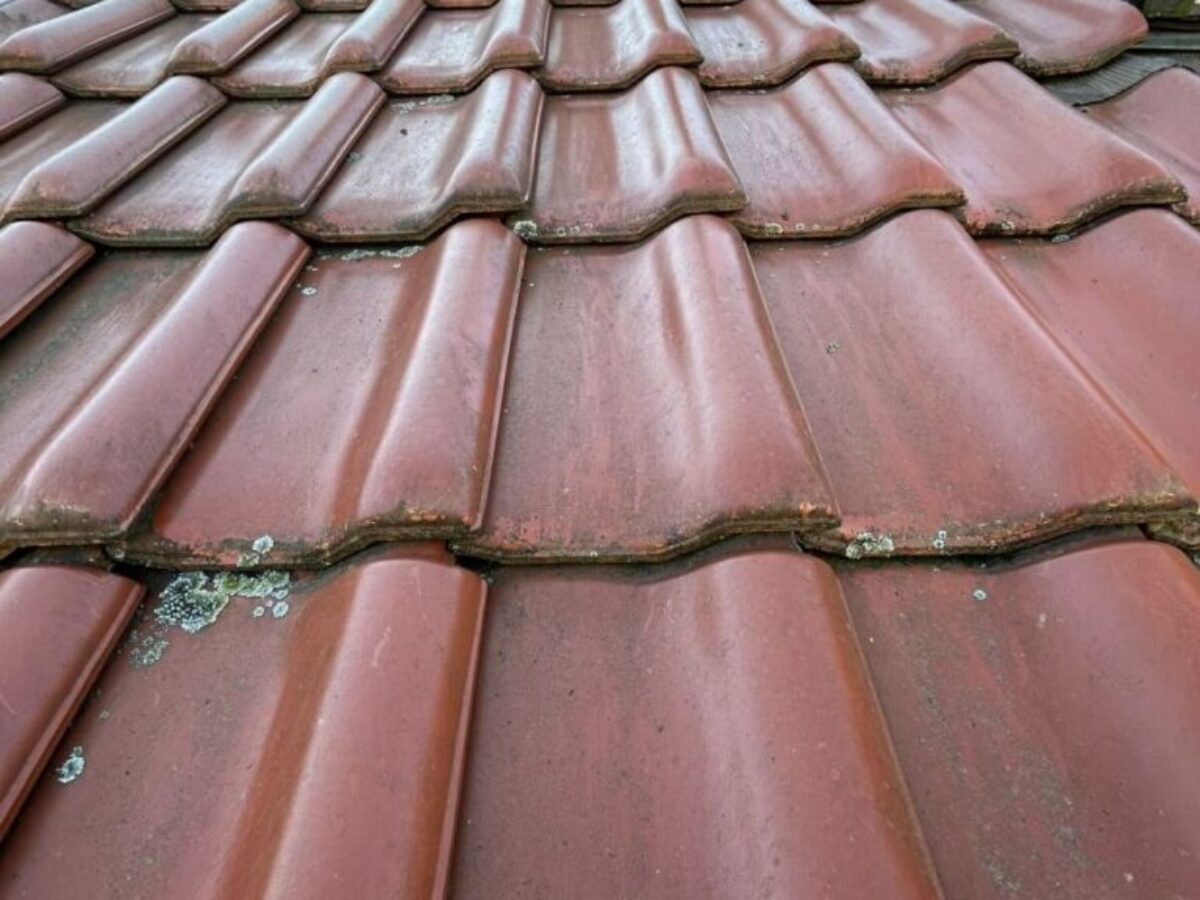 Vorher - Dachreinigung – Krosno Odrzańskie Vorher - Dachreinigung – Krosno Odrzańskie