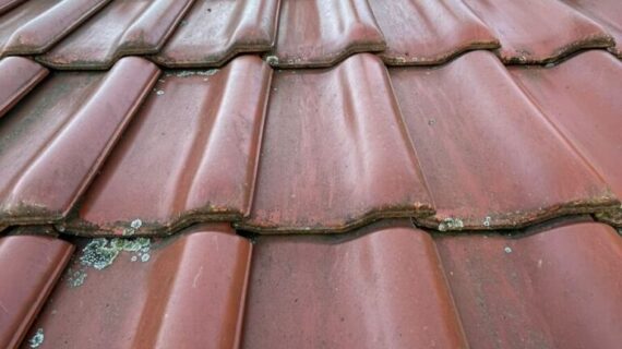 Dachreinigung Krosno Odrzańskie