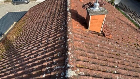 Dachreinigung in Elbe-Parey
