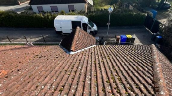 Dachreinigung in Parey