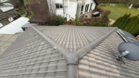 Dachreinigung Bennewitz