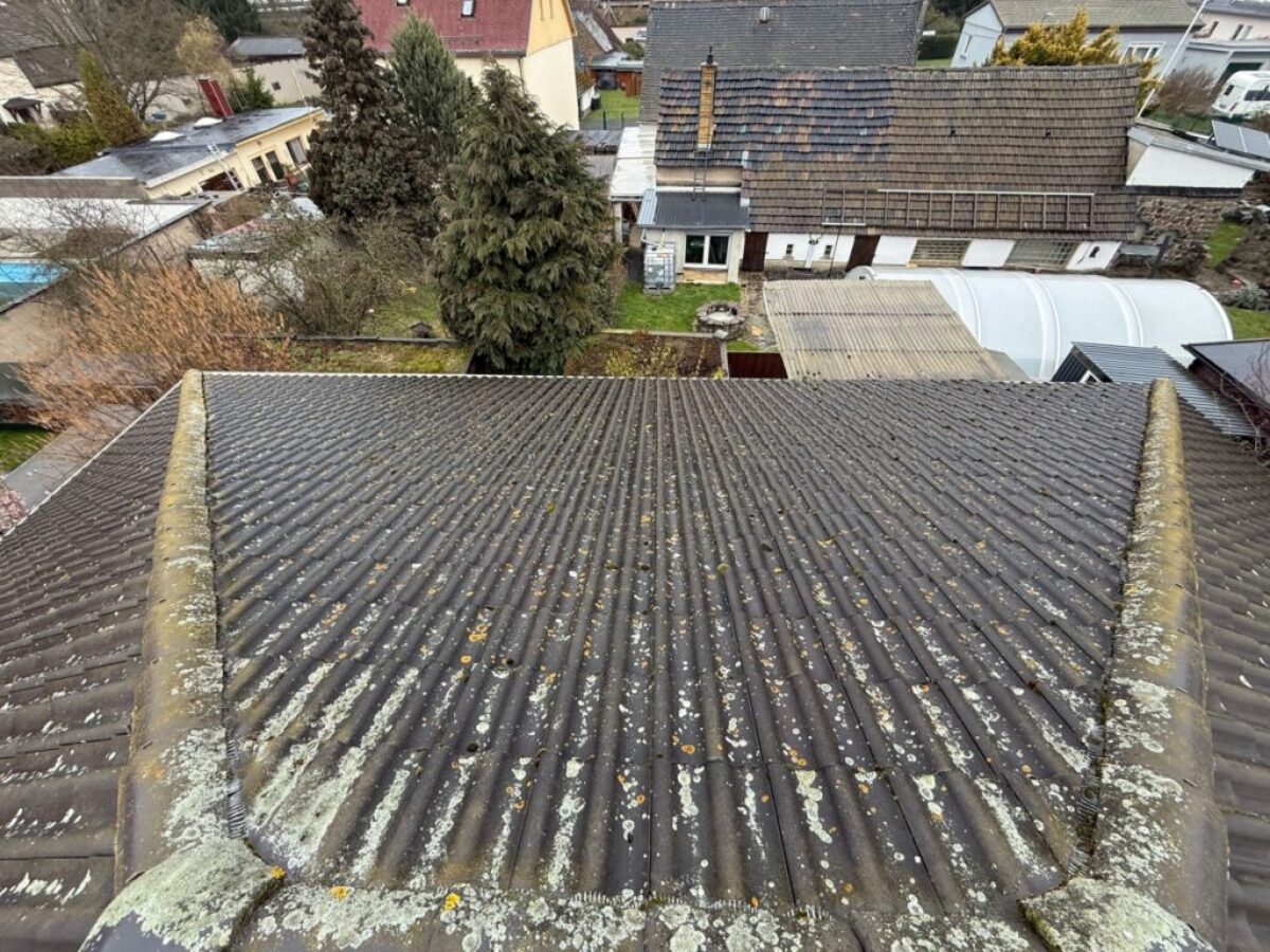 vorher dachreinigung und imprägnierung in Bennewitz