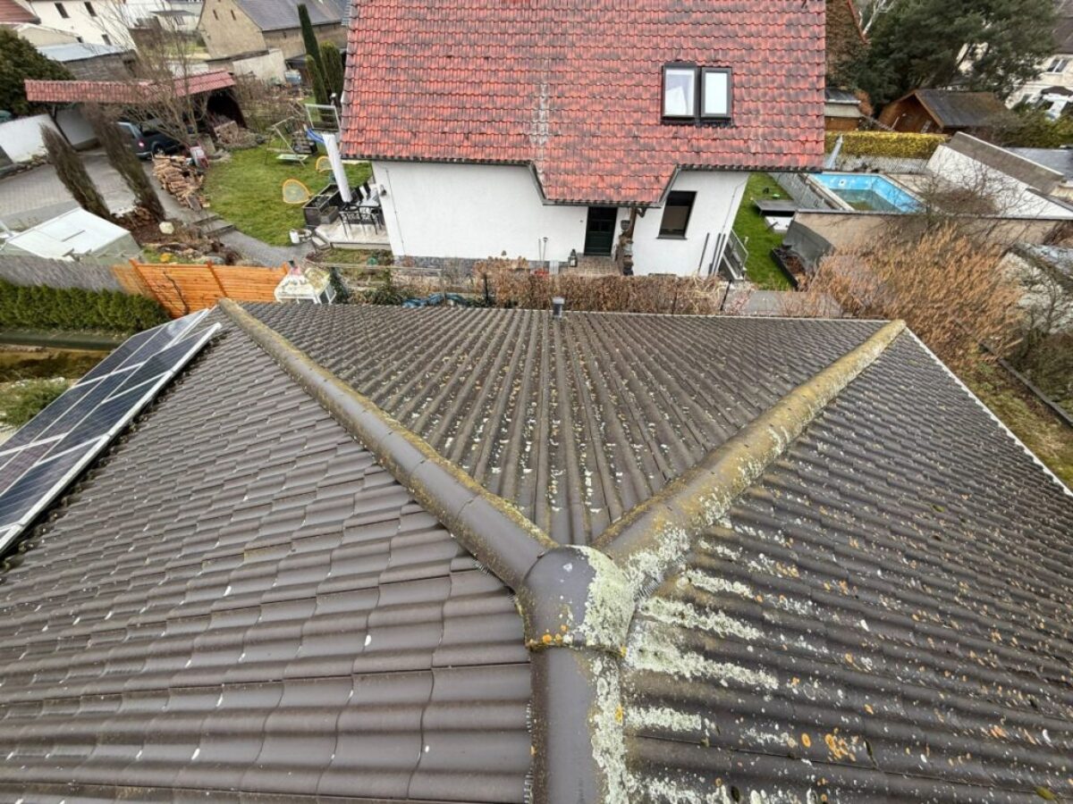 vorher dachreinigung und imprägnierung in Bennewitz