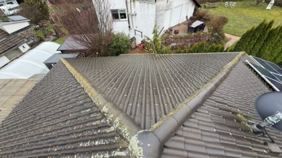 Dachreinigung Bennewitz